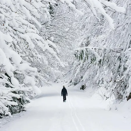 Lägenhet El Mirador By Bevalle Panticosa